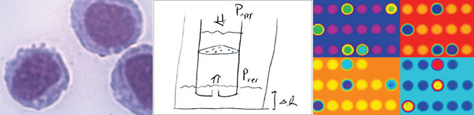 RowatLab_contact-1